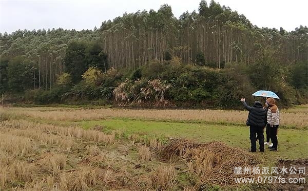 阳泉市陈老师带着爱徒寻龙点穴