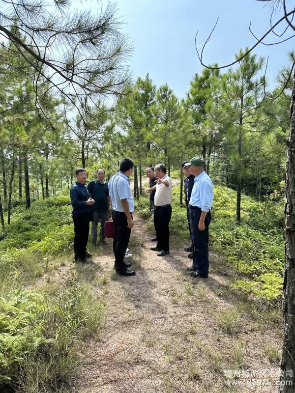 阳泉市学杨公风水跟陈荣昌老师实在